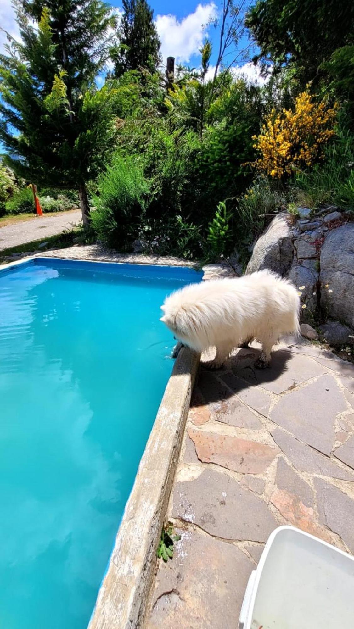 El Mirador Casa Arroyo Villa San Carlos de Bariloche Kültér fotó